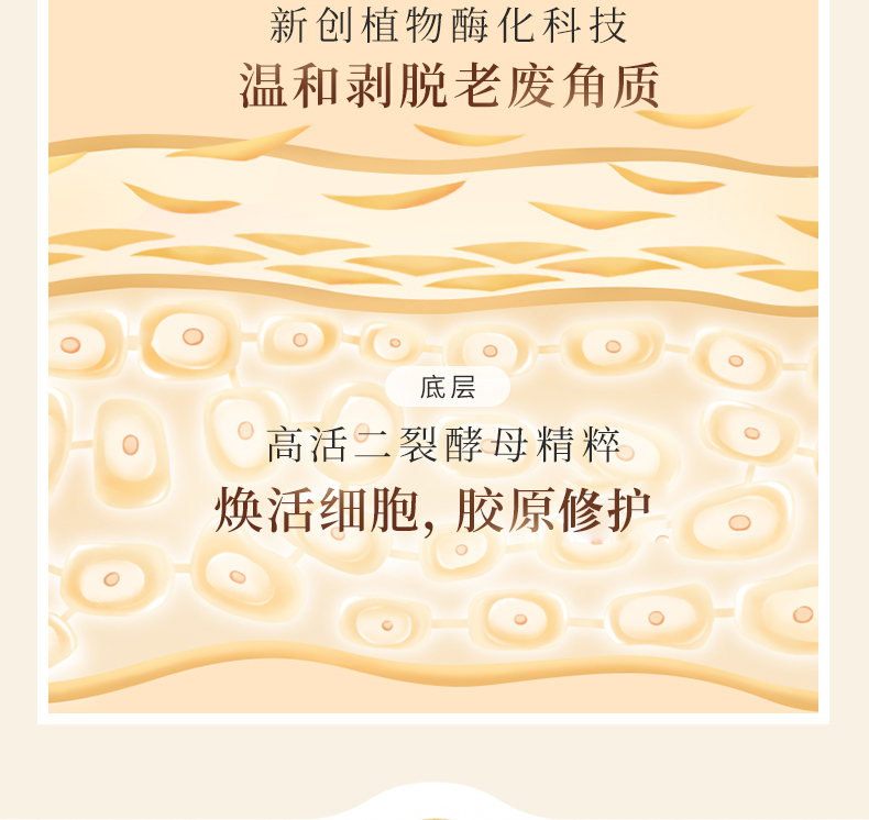 详情11.jpg 详情11.jpg