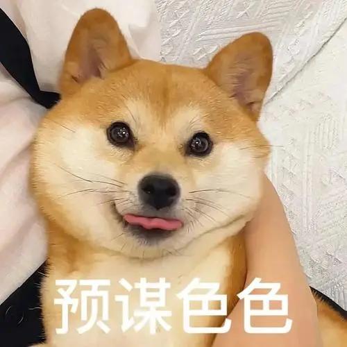 图片4.jpg