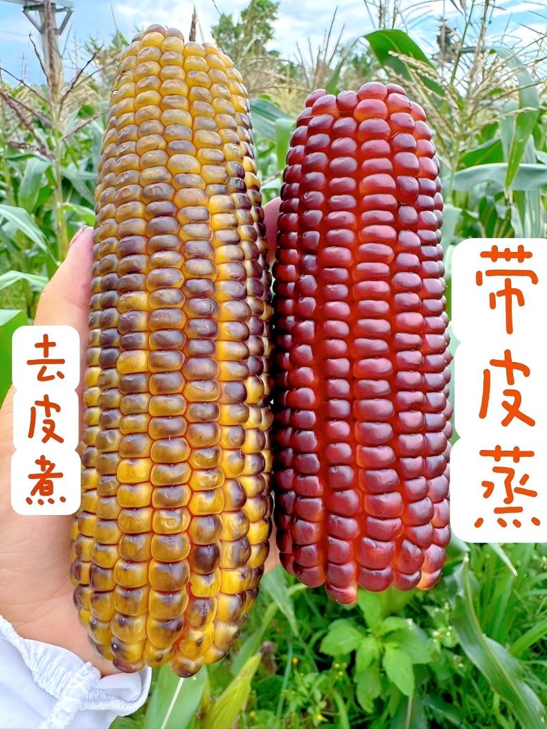 图片7.jpg